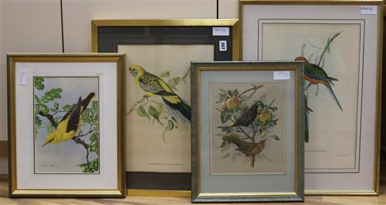 Two framed lithographs of parrots after J. Gould and H.C. Richter, largest 31 x 37cm